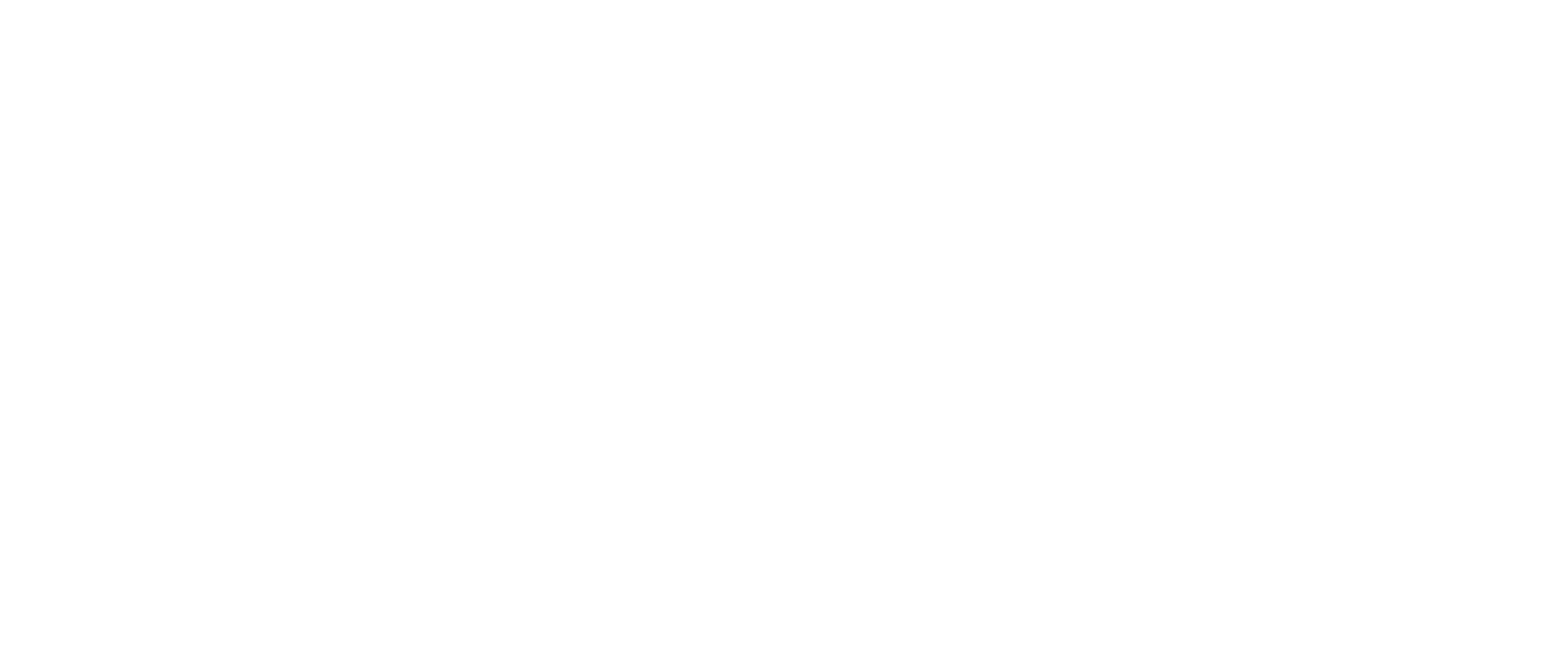 Big River Group logo